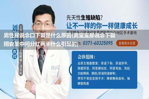 男性尿说念口下裂是什么原因(男宝宝尿说念下裂阴囊至中间分红两半什么引起的)